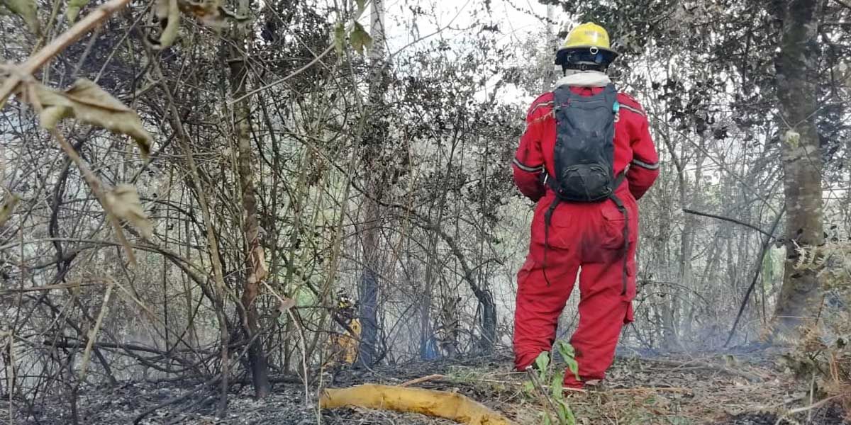 Autoridades investigan incendios que habrían sido provocados en Popayán