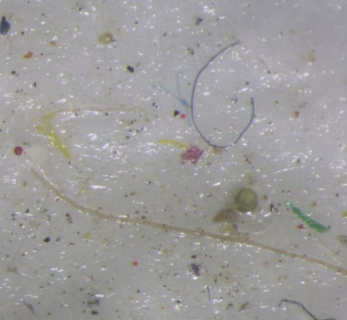 Encuentran microplástico en la nieve y en el hielo del Ártico