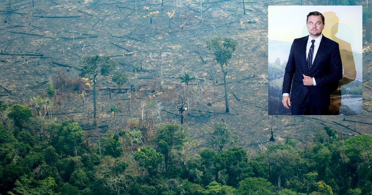 ¡Qué gran gesto! Leonardo DiCaprio donará multimillonaria suma para salvar la Amazonía