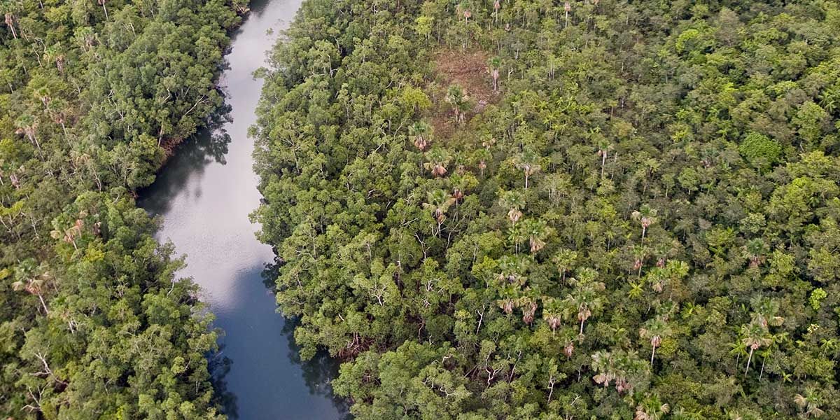 Reino Unido dona 78,3 millones de dólares para proteger la Amazonia colombiana