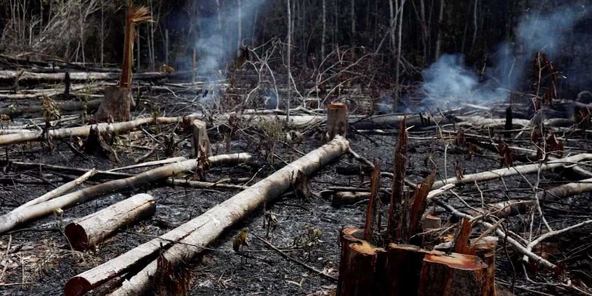 Arde la Amazonía: el incendio que pone a prueba el mundo