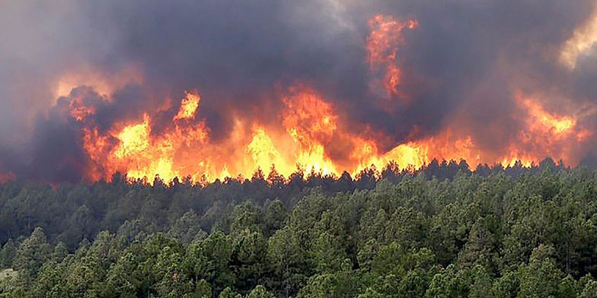 Alertas rojas y naranjas por incremento de incendios forestales en el país