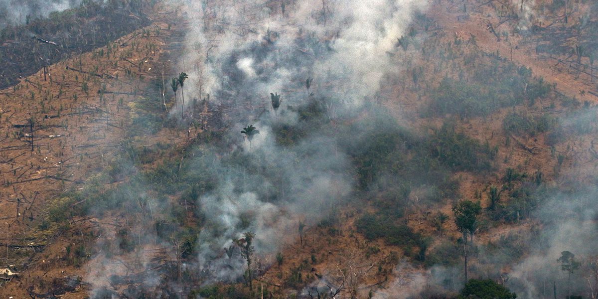 El G7 ‘rompe el marranito’ para frenar los incendios Amazonas