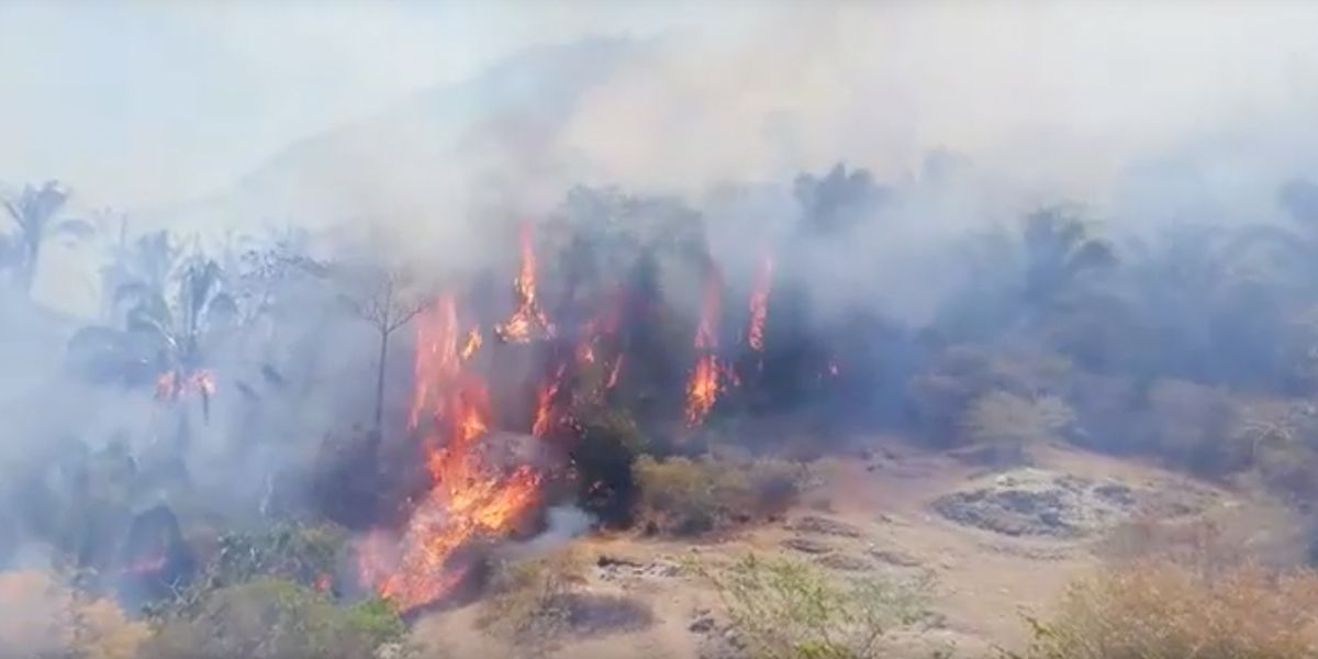 Incendio en Honda arrasa más 2.000 hectáreas y se declara calamidad pública
