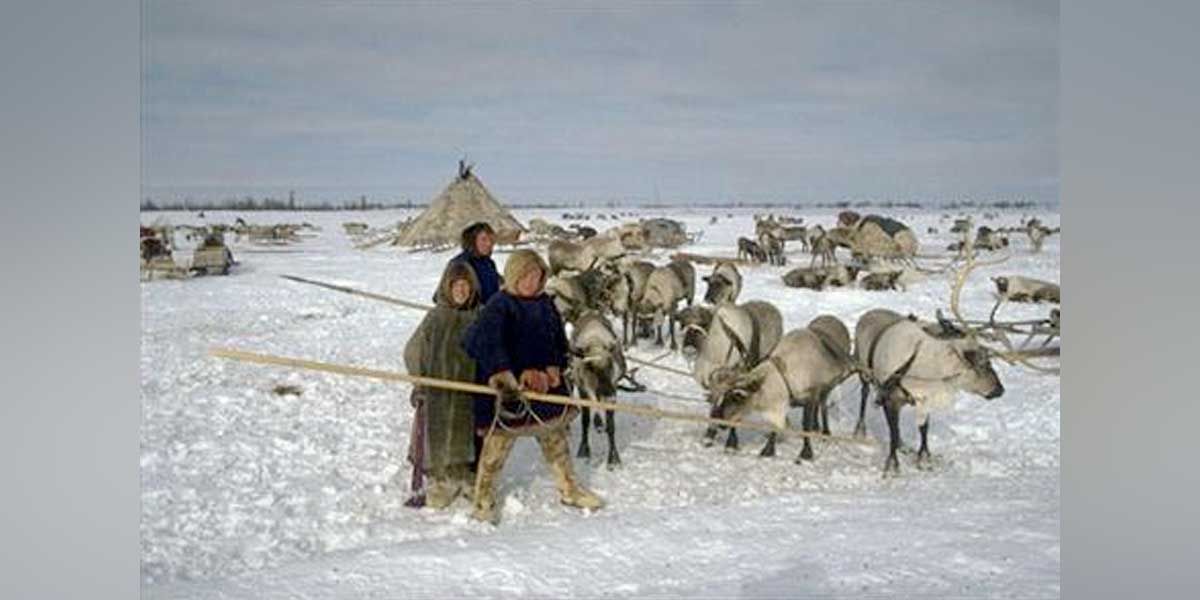 Ante el calentamiento global, indígenas del Ártico temen por su supervivencia