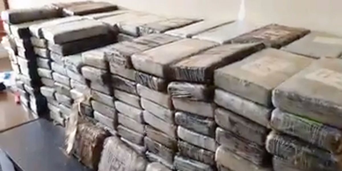 Entre cajas de servilletas descubren 1,2 toneladas de coca que iban para Alemania