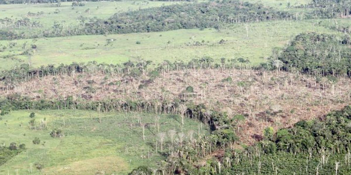 Alerta por deforestación en parques naturales La Macarena y Tinigua