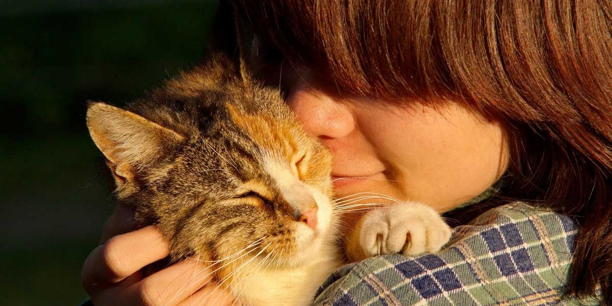 Estudio confirma que los gatos son tan apegados a sus cuidadores como los niños y perros