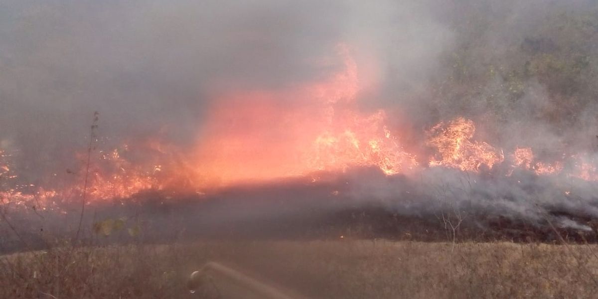 Más de 3.000 hectáreas se han quemado por incendios forestales en Neiva