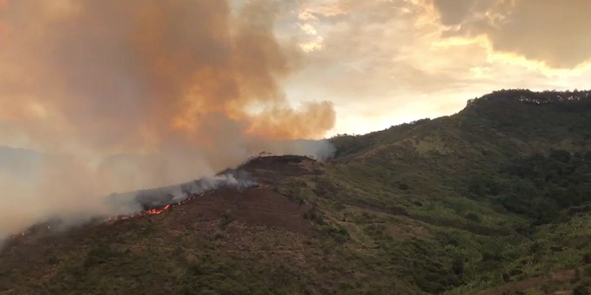 Incendio que se salió de control en Yumbo ha consumido cerca de 700 hectáreas de bosque