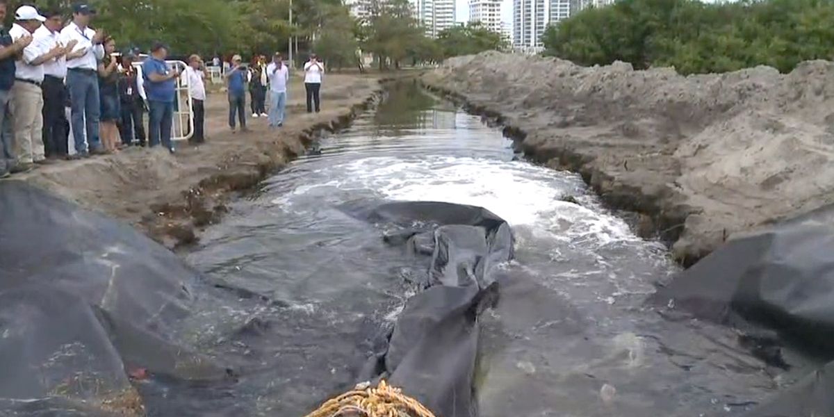 Tras mortandad de peces, instalan motobomba en El Laguito de Cartagena