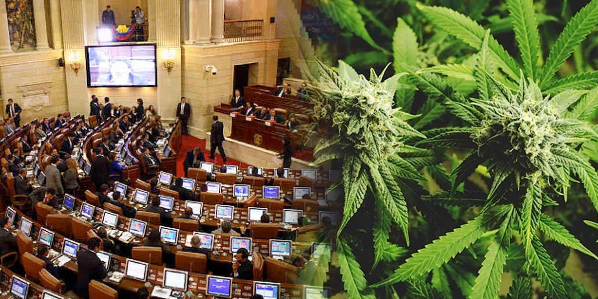 Regulación del cannabis con fines recreativos pasa su primera prueba en el Congreso
