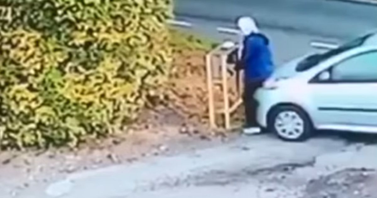(Video) Mujer fue atropellada por su propio carro, sin conductor