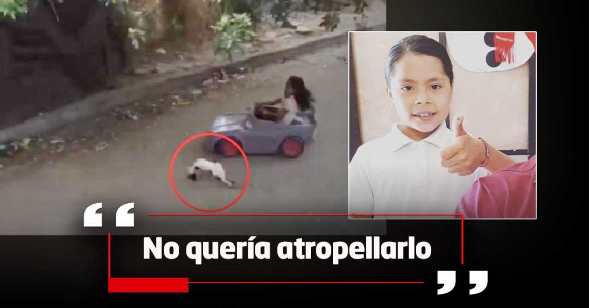 Primeras declaraciones de la niña del video viral en el que atropella a un gato