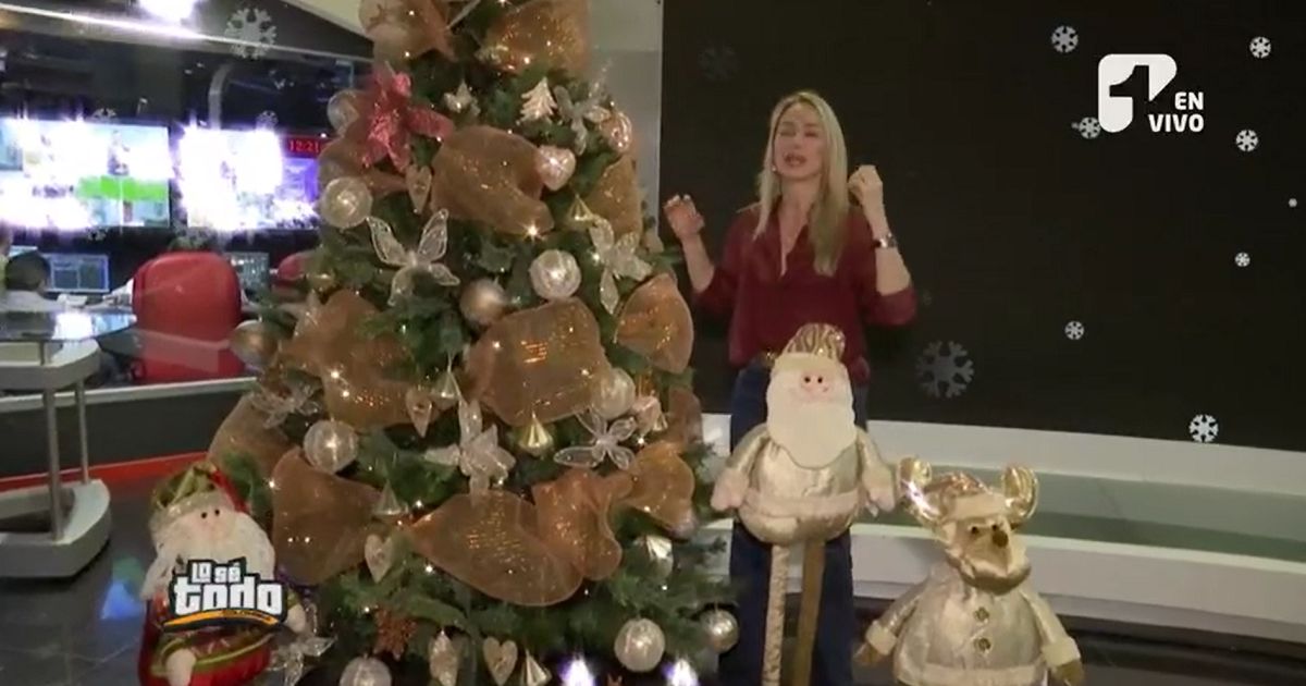Los tips de Erika Taubert para armar adecuadamente el árbol de Navidad
