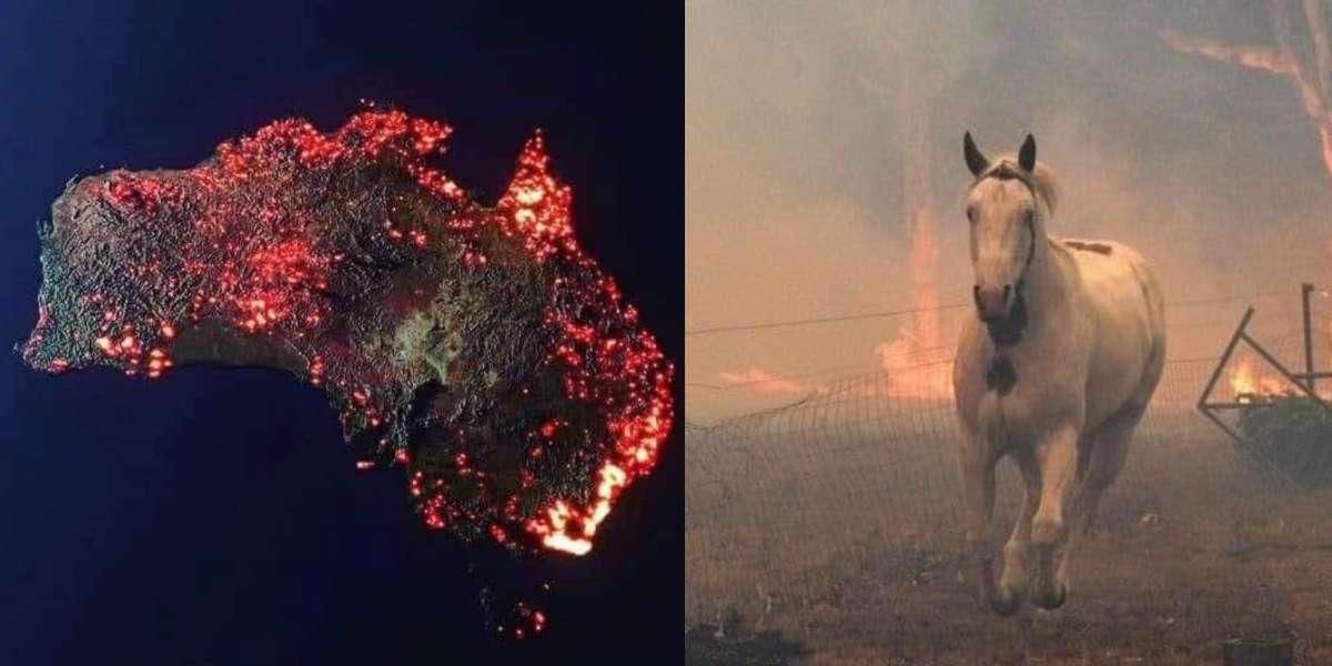 ¡No coma cuento! Mire cuáles son las fotos falsas de los incendios de Australia y las reales