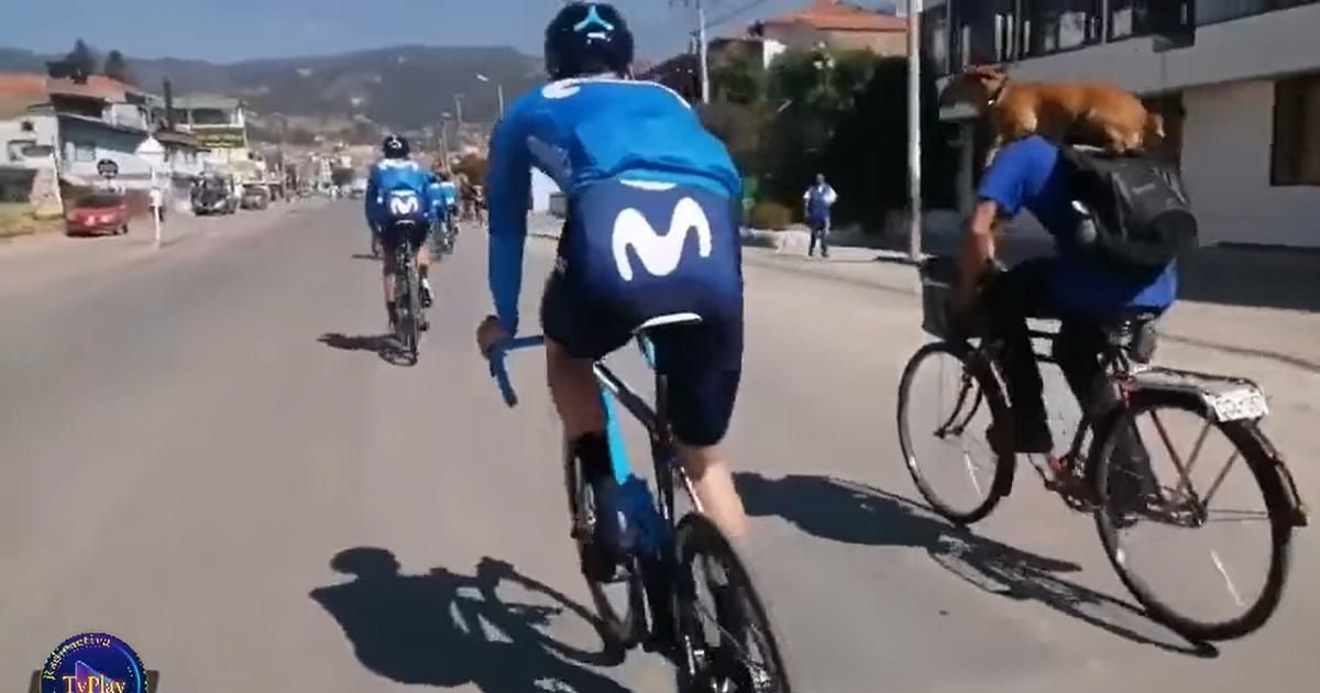 Hombre que carga dos perros en bicicleta ‘panadera’ puso a sudar a ciclistas del Movistar