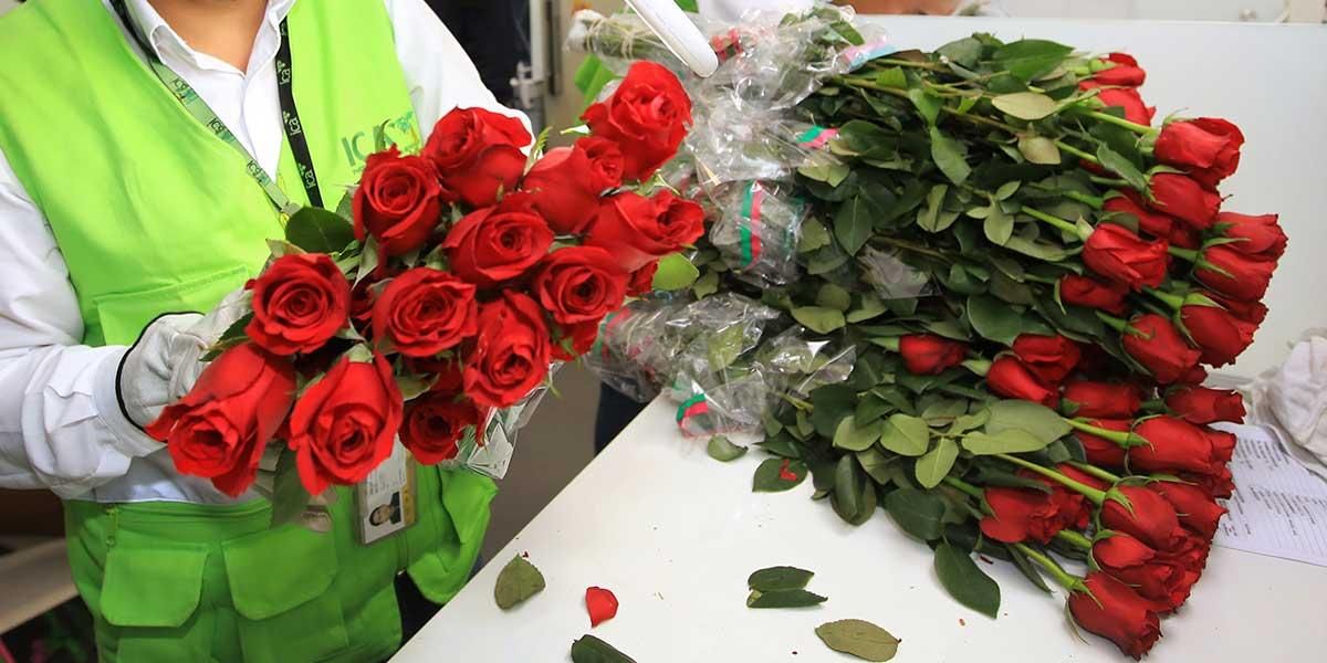 San Valentín: sector floricultor ultima detalles para la fecha más importante del año