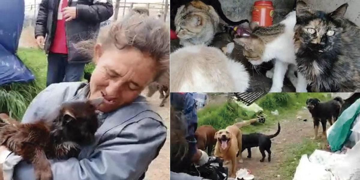La otra cara de la cuarentena: habitantes de calle refugian a animales abandonados en Bogotá