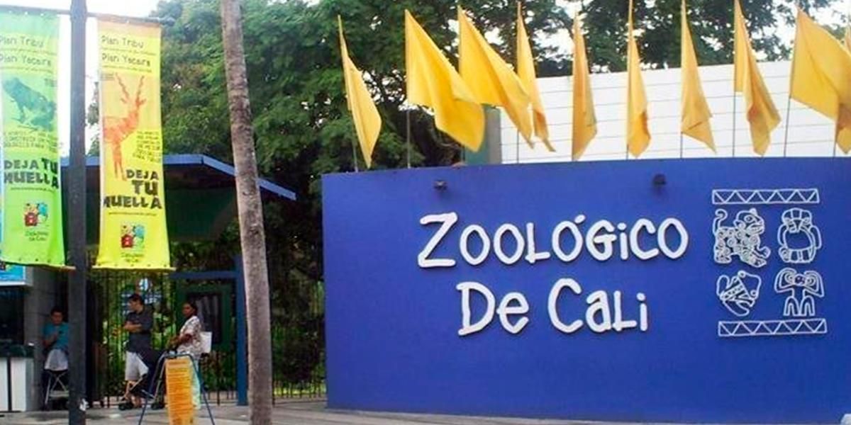 El zoológico de Cali está atravesando una difícil situación por la cuarentena