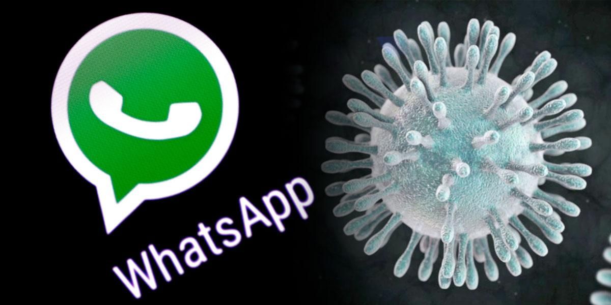 La línea de WhatsApp que le aclara dudas y entrega consejos para prevenir el COVID-19