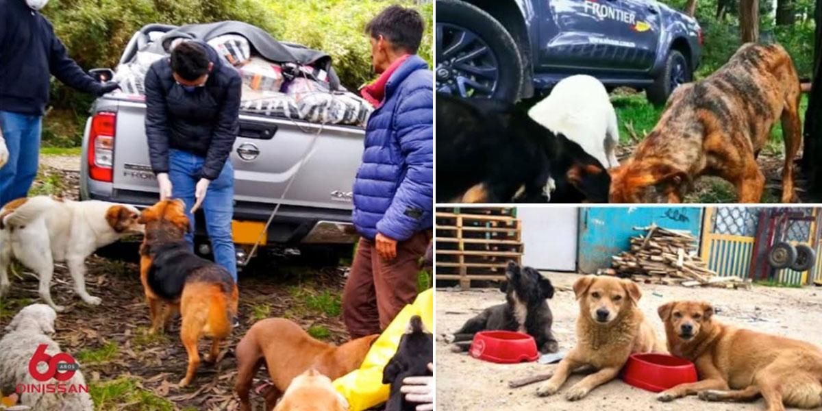 Nissan Colombia se solidariza con animales en condición de abandono durante la contingencia por COVID-19