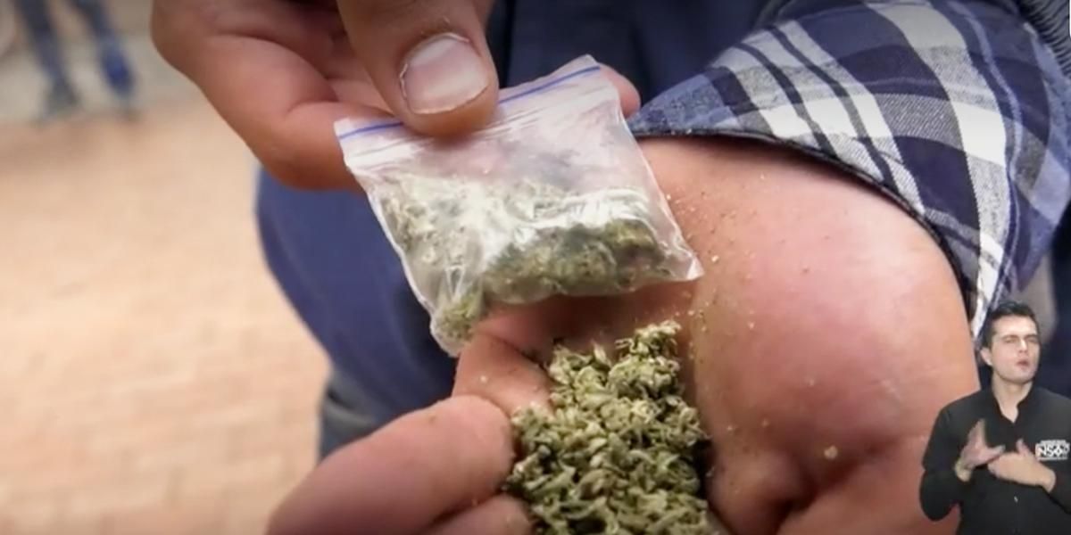 Marihuana, la droga más consumida durante la cuarentena, según encuesta