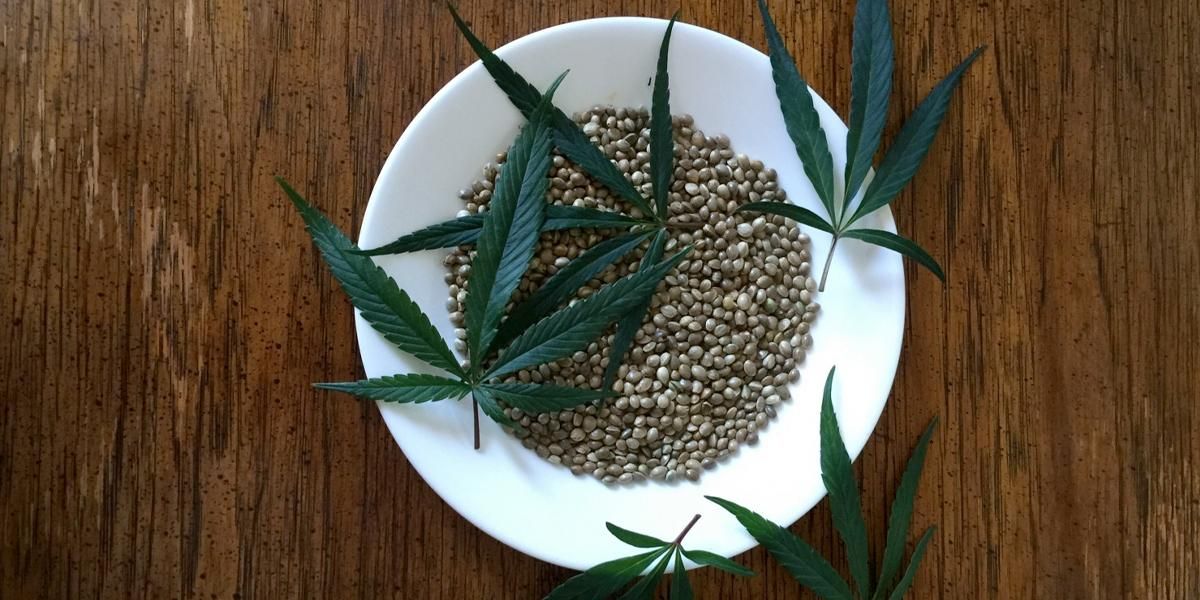 MinJusticia autorizó la primera exportación de 100.000 semilla de Cannabis