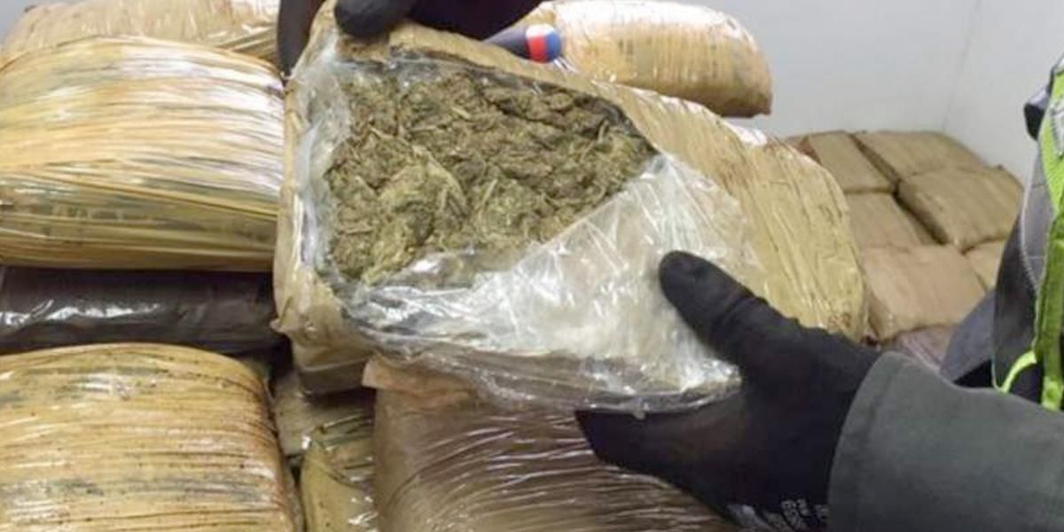 Incautan una tonelada de marihuana cripy que salió del Cauca hacia Centroamérica