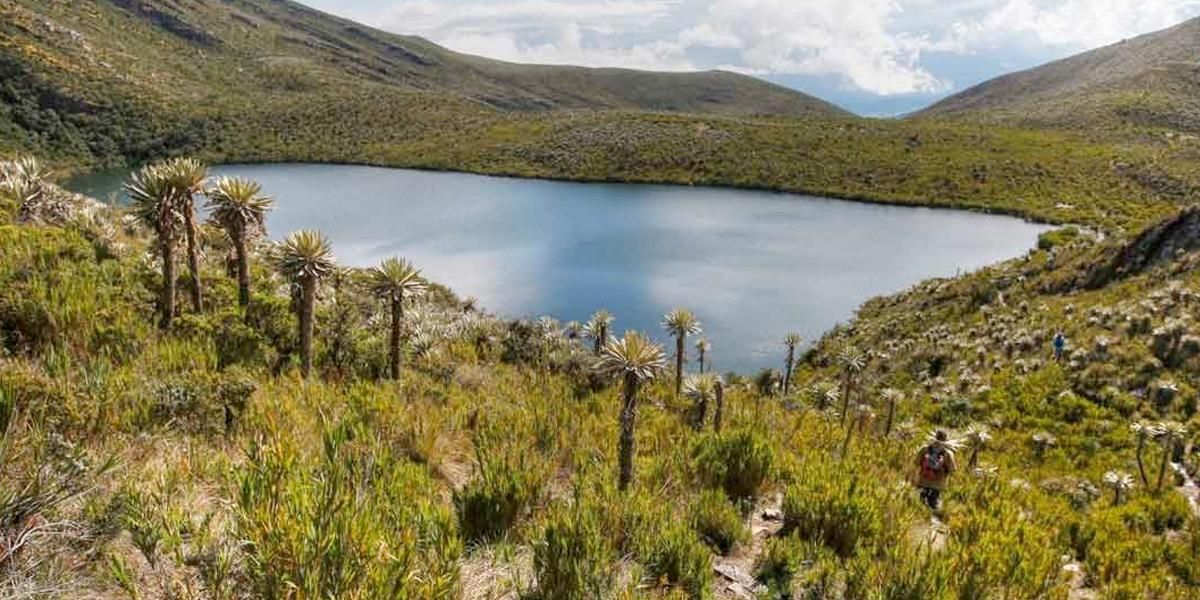 Colombia será el país anfitrión del Día Mundial del Medio Ambiente