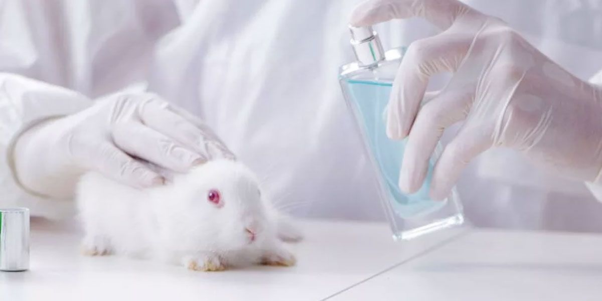 En Colombia quedaría prohibido el testeo de cosméticos en animales