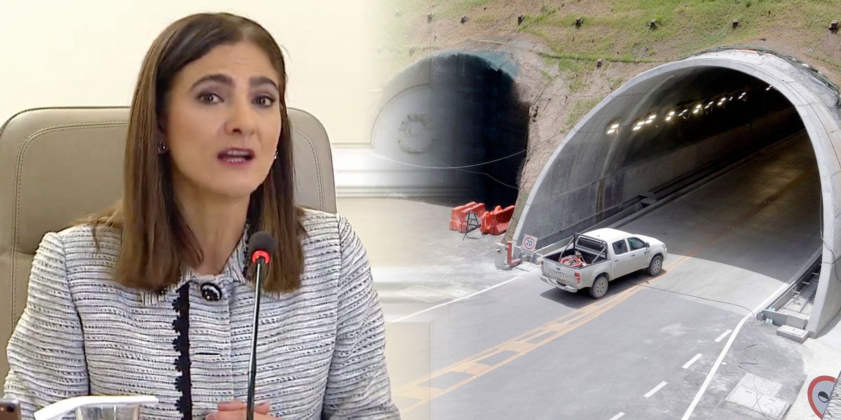 Primera semana de septiembre se inaugurará el Túnel de la Línea