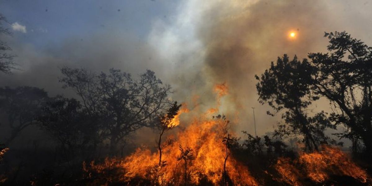 Autoridades combaten incendio forestal en isla reserva del Caribe