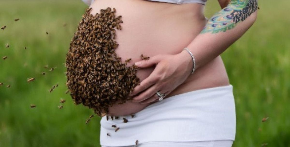 Mujer embarazada posa con abejas
