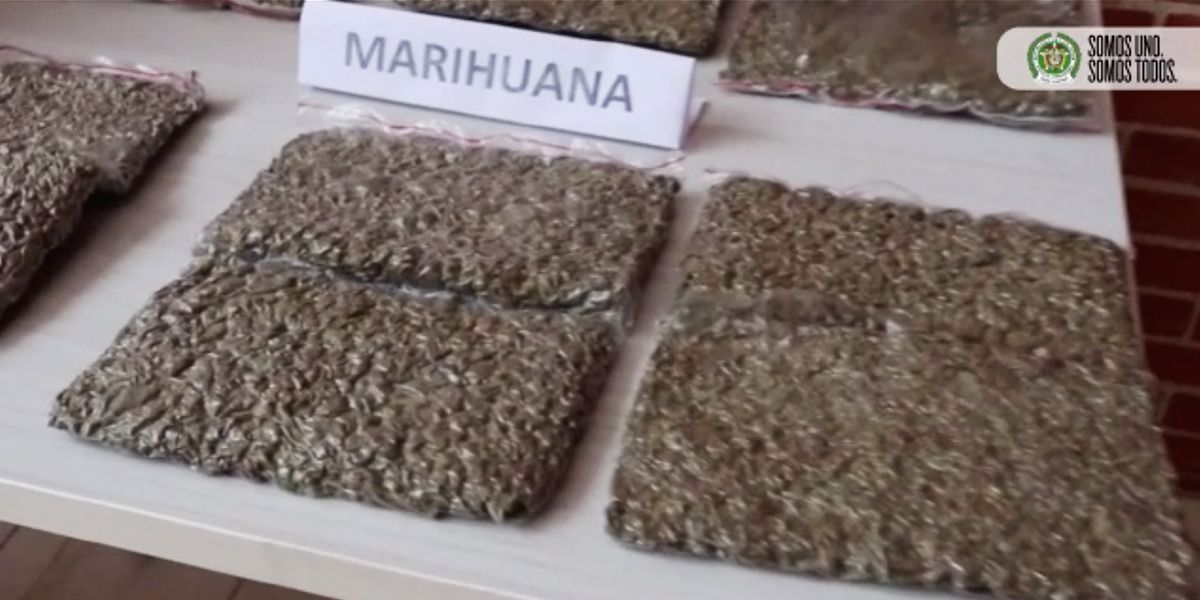 Incautan cargamento de marihuana avaluado en más de $1.200 millones en Villavicencio