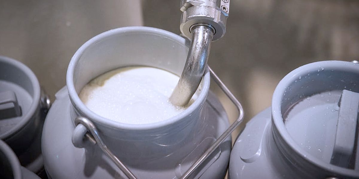 Antioquia pide a principales alcaldes comprar leche para salvar el sector