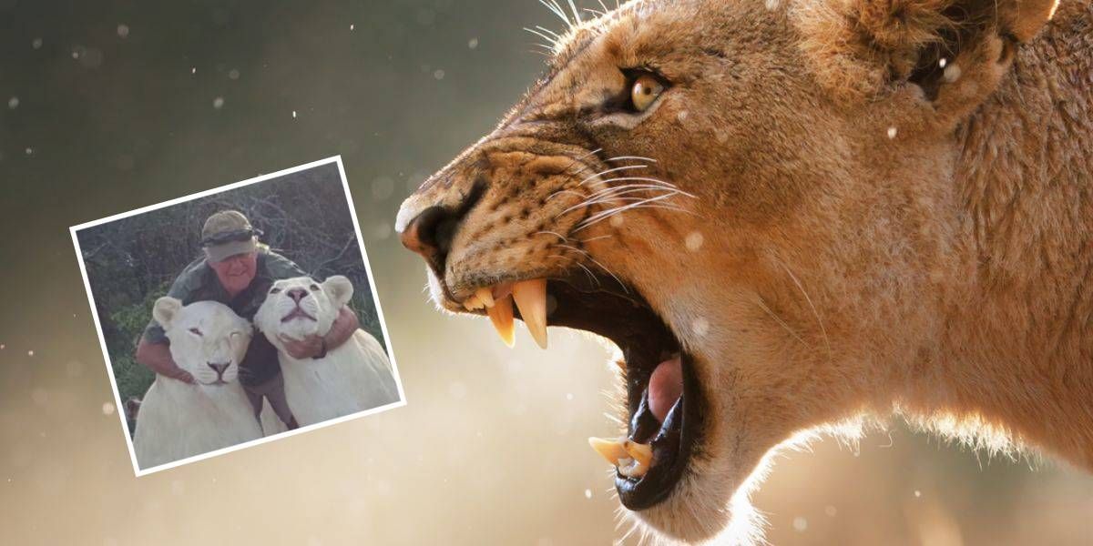 leonas matan adiestrador sudafrica