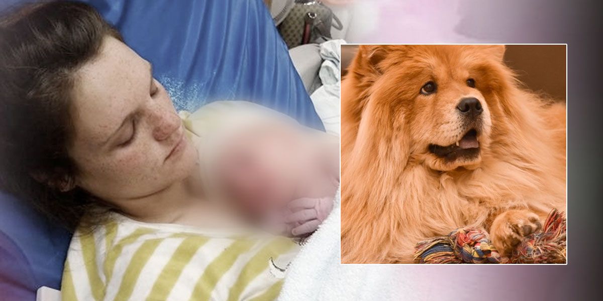 Bebé recién nacido murió mutilado por un perro 2