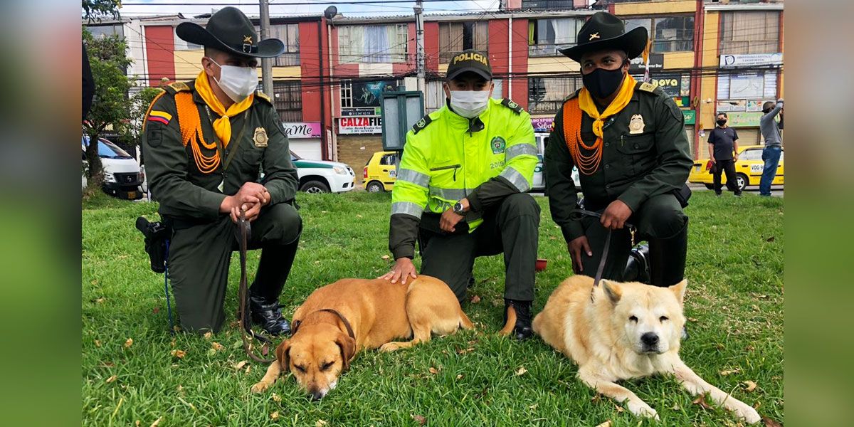 Policía Perros CAI Osito y Pudín