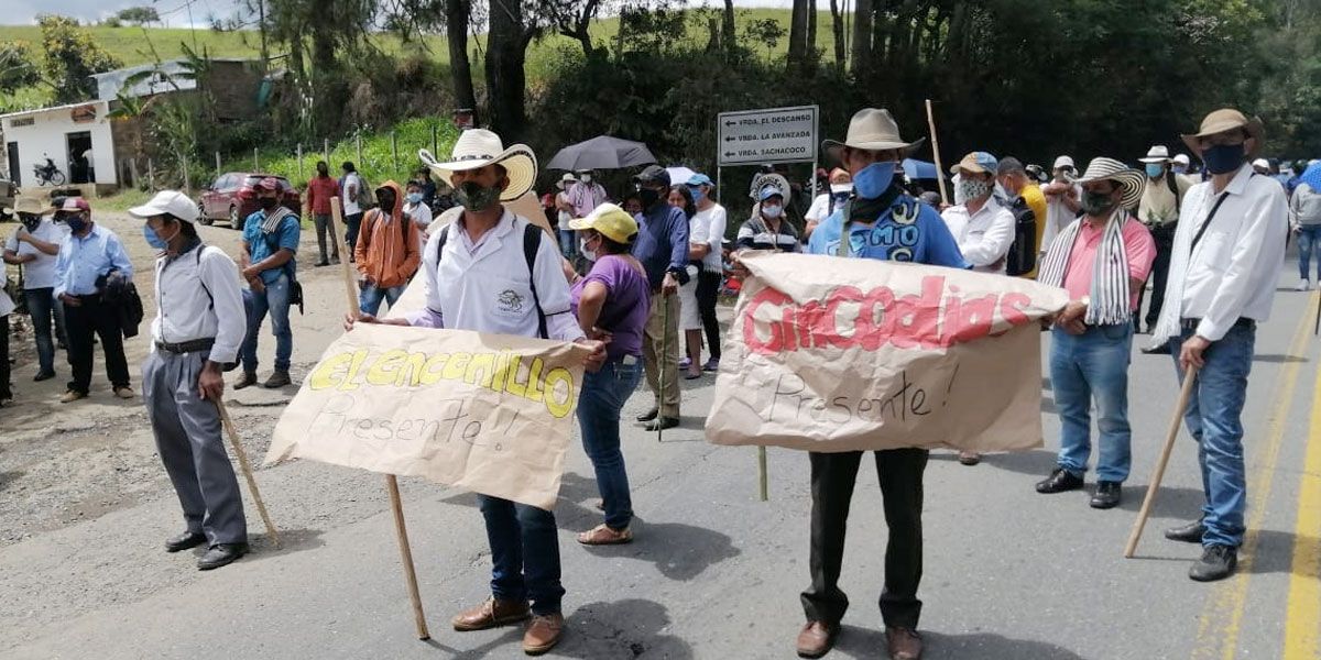 En Cauca campesinos y docentes se declaran en paro