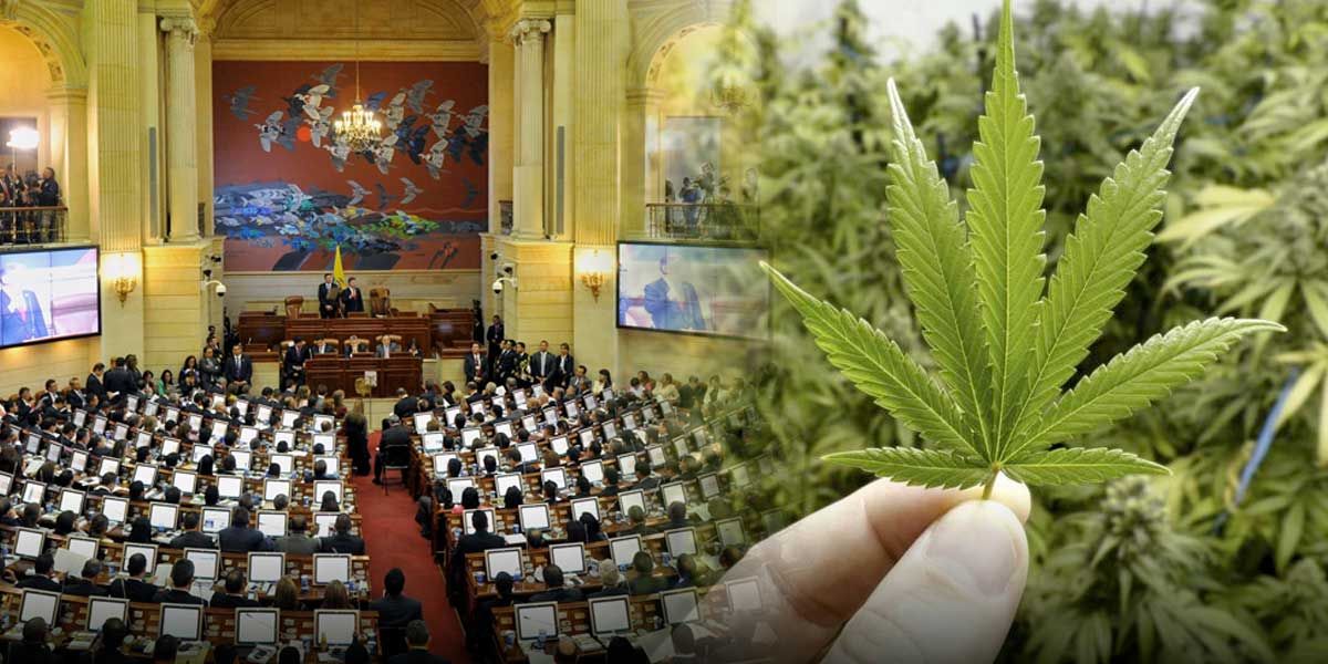 ¿Por qué el Congreso tumbó la legalización de la marihuana recreativa en Colombia?