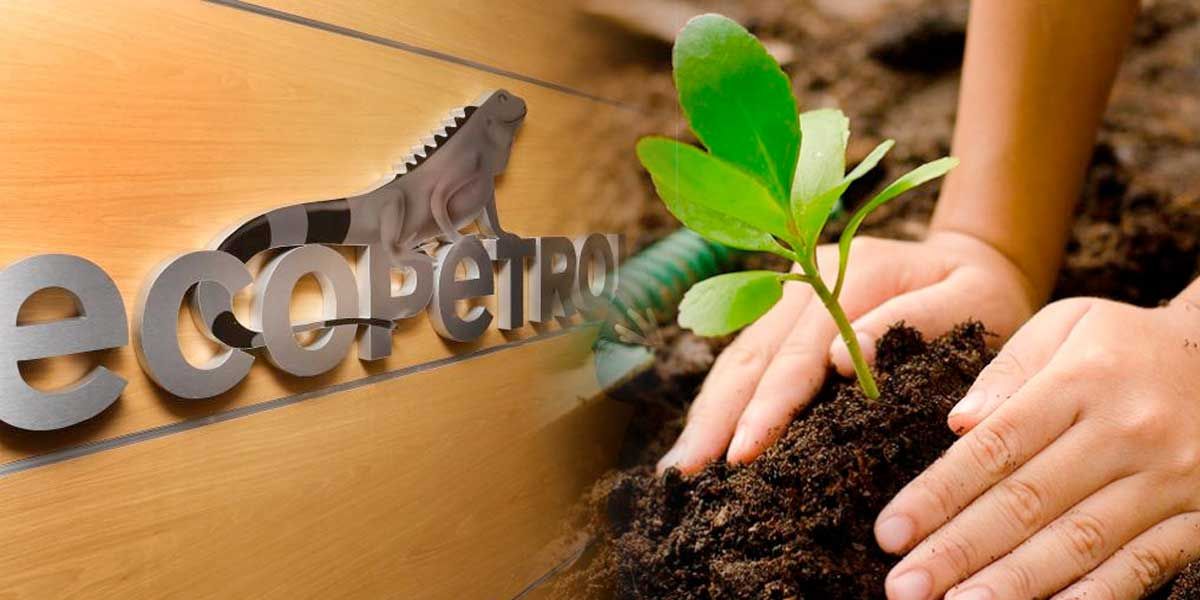 Ecopetrol sembrará árboles