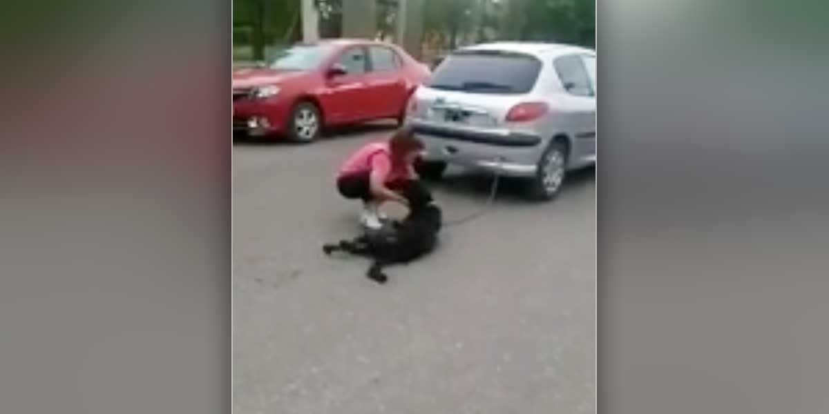 Mujer arrastra a su perro