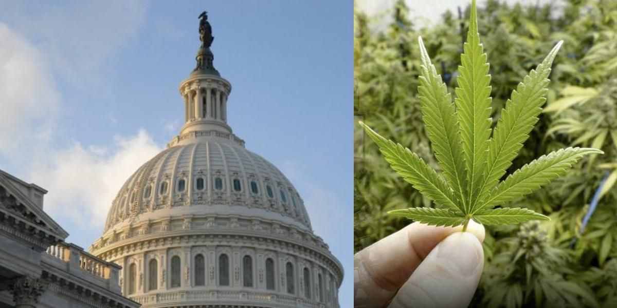 camara estados unidos aprueba marihuana cannabis proyecto