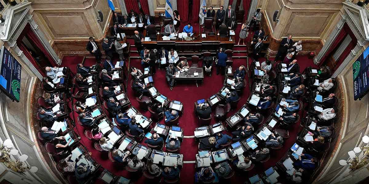 Senado argentino ley impuesto grandes fortunas