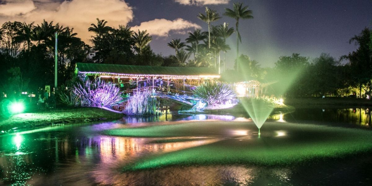 Jardín Botánico habilitó recorridos nocturnos hasta enero