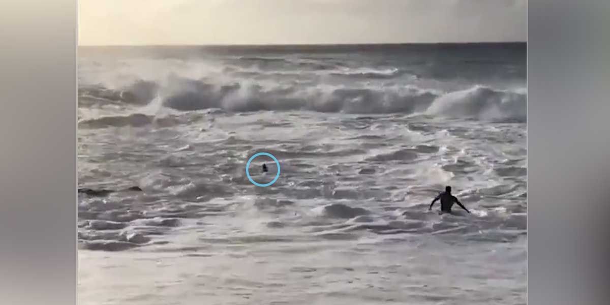 Surfista rescata a mujer