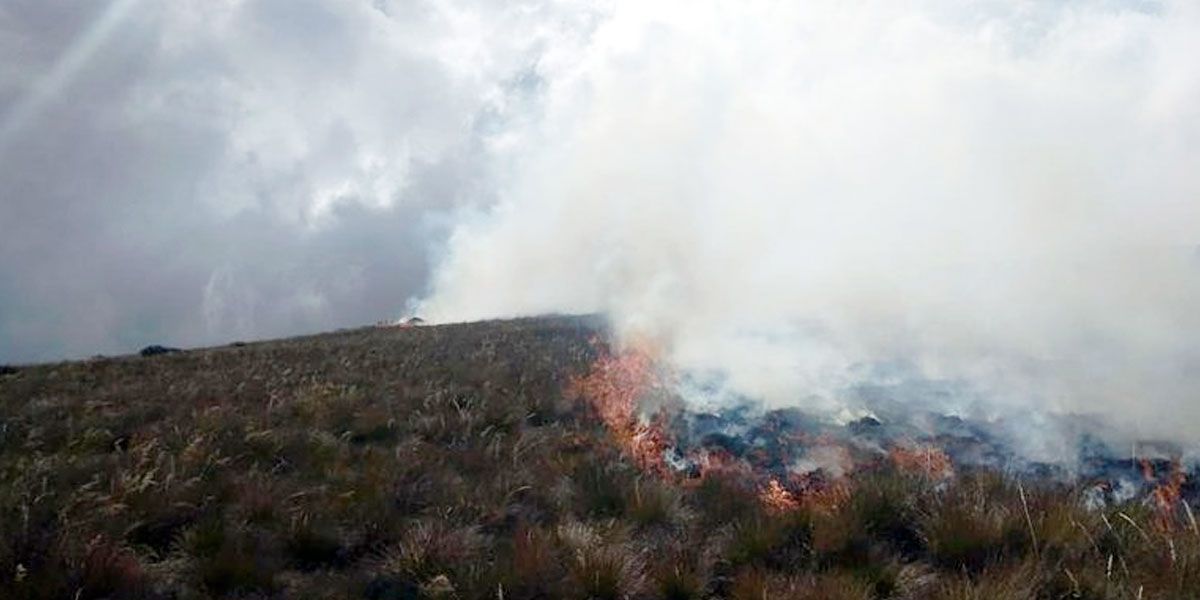 Tragedia por incendio de varias hectáreas en páramo de Santurbán