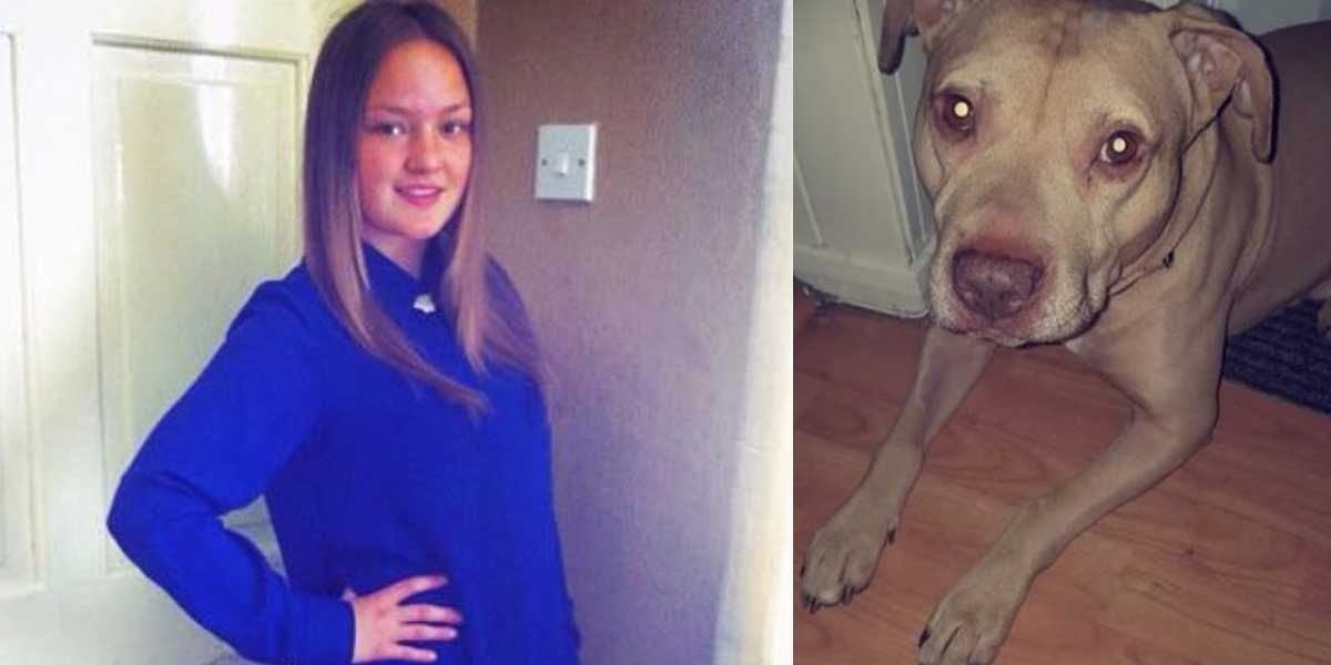 Keira Ladlow mujer muere por ataque perro rescatado inglaterra