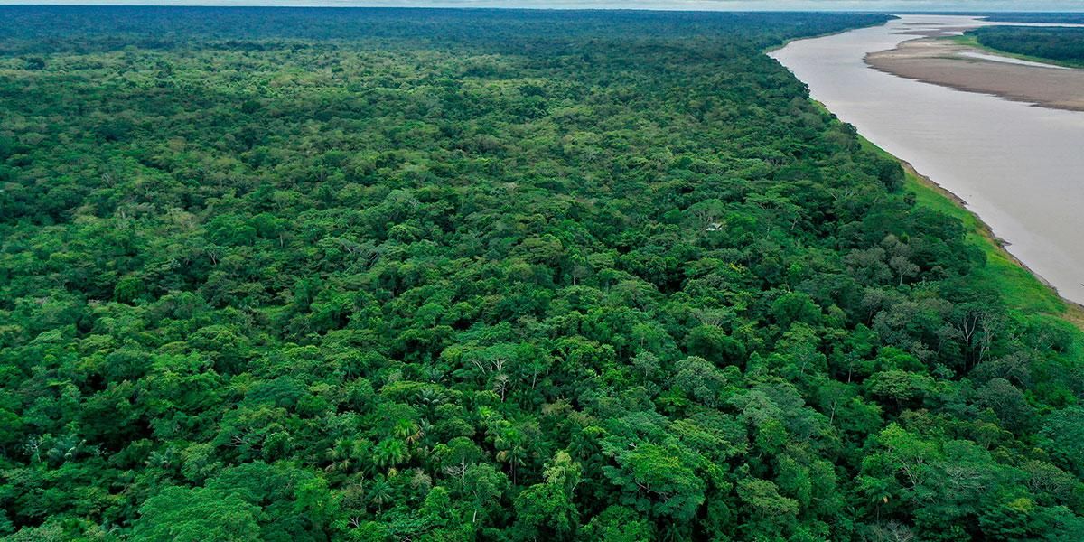 Francia finanza proyecto para proteger millones de hectáreas en la Amazonía